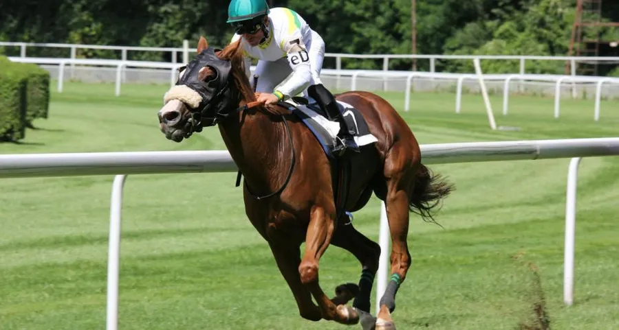 Racehorses and Music Artists: The Combination You Didn’t Expect