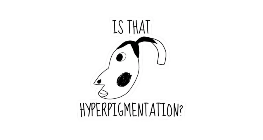 Framed, Fried, and Forever Online: Why the Hyperpigmentation Meme Won’t Die (And Shouldn’t)