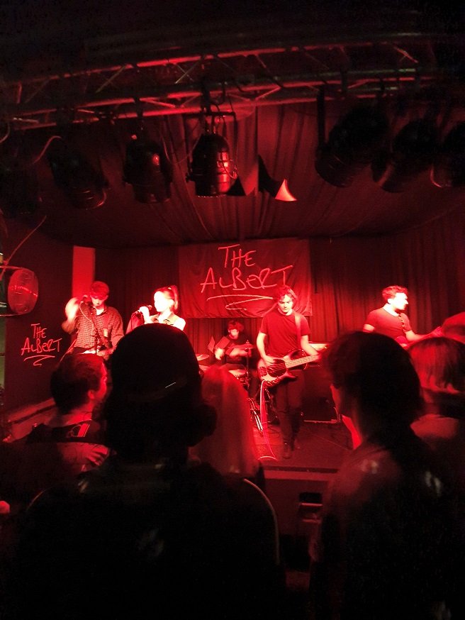 An Impressive Performance From Just Mustard At The Prince Albert, Brighton Just Mustard