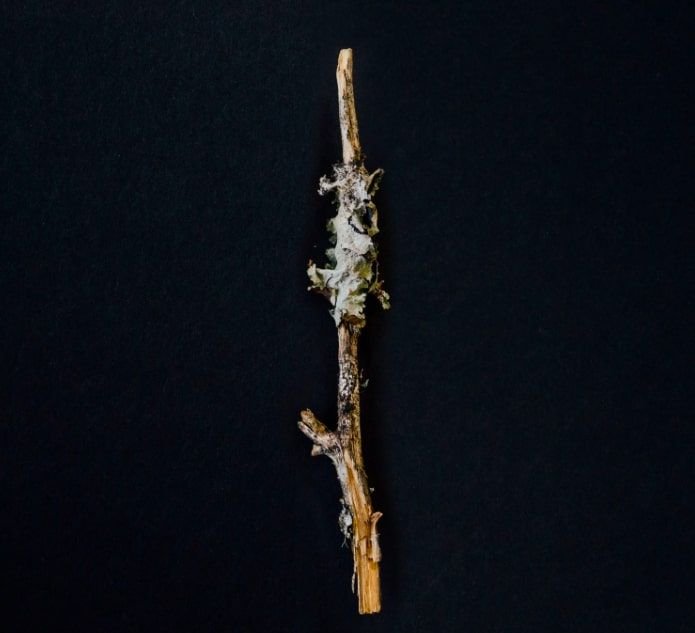 Carmanah’s Stand Up Will Stand The Test Of Time Carmanah's Stand Up Will Stand The Test Of Time