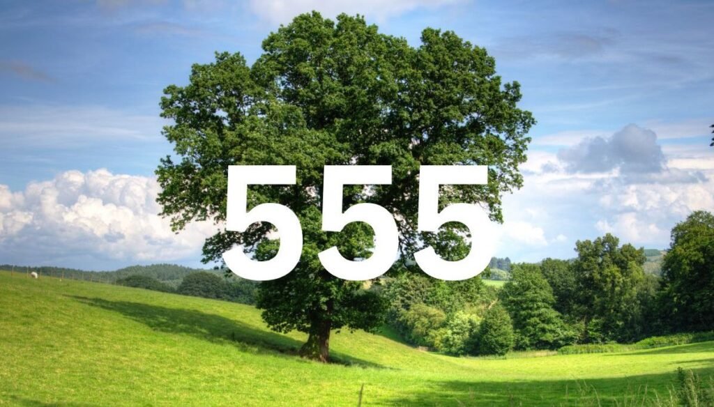 Comprehensive Guide to Angel Number 555: Meaning, Symbolism, and Influence