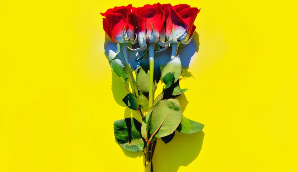 Callen’s Worried: A Soul-Stirring Symphony of Love And Vulnerability Callen’s Worried: A Soul-Stirring Symphony of Love and Vulnerability