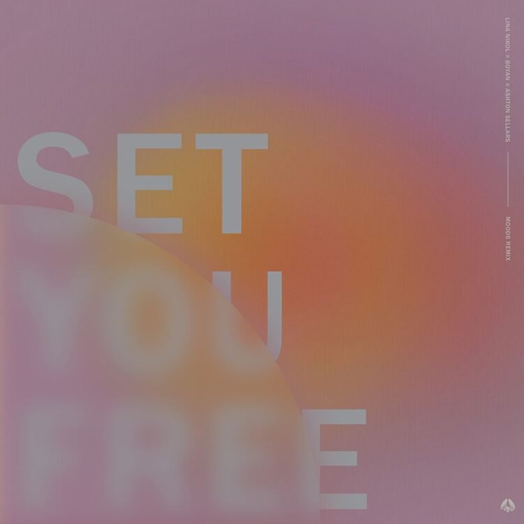 Set You Free (Remix by Moods) cover
