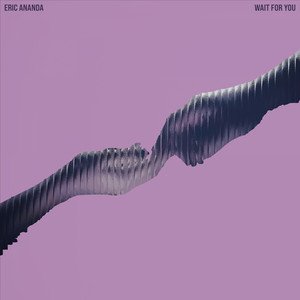 Eric Ananda Wait For You Song Artwork