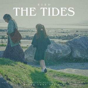 BIRD THE TIDES Song artwork