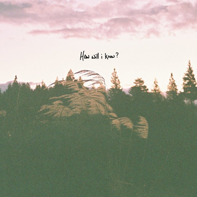 Riley Pearce How Will I Know song cover