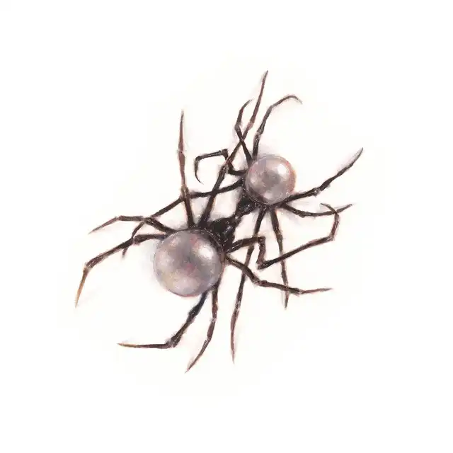 Scarlet Album by Doja Cat