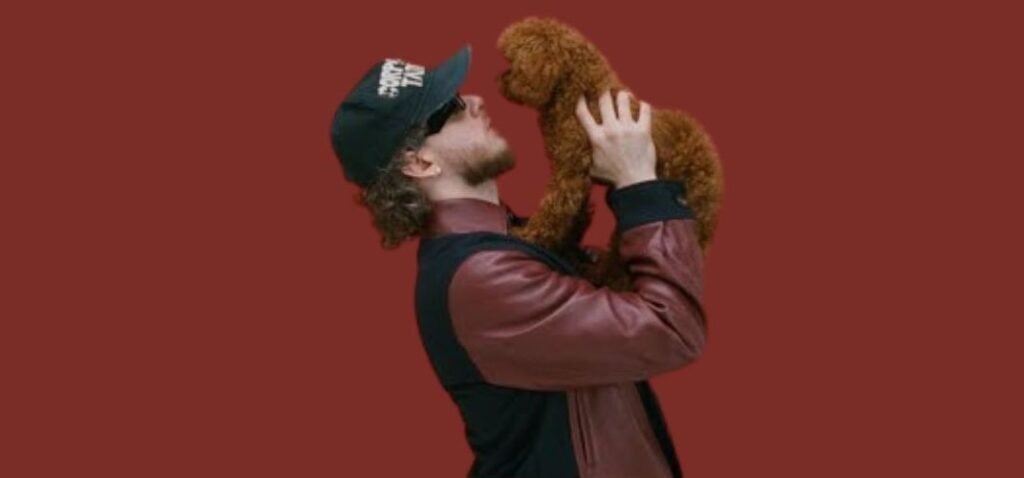 The Ultimate Guide to Jack Harlow’s Lovin On Me: Lyrics, Meaning, Video, Reviews, and More