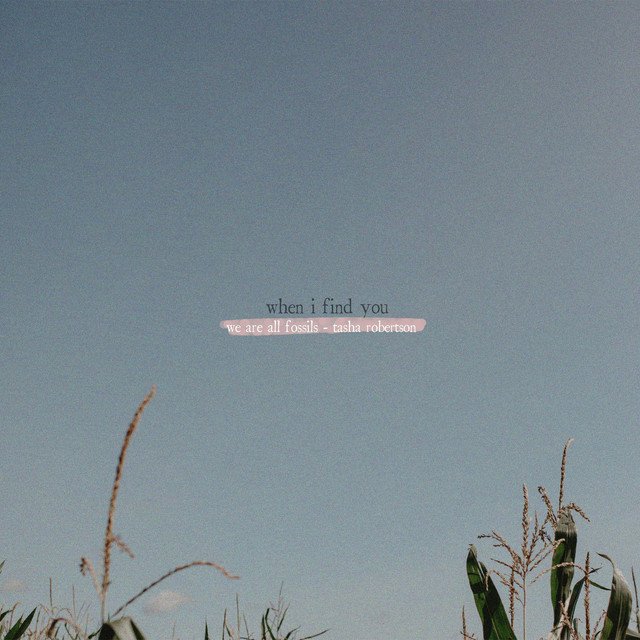 We Are All Fossils When I Find You feat Tasha Robertson