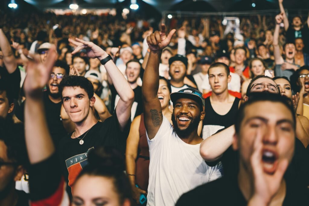 Fans at a concert