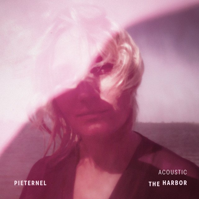 Pieternel The Harbour Acoustic song cover