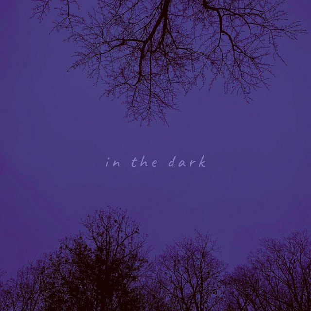 anica in the dark song cover