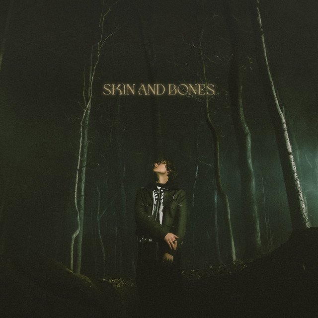 David Kushner Skin and Bones song cover