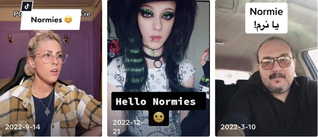 The term Normie usage on TikTok