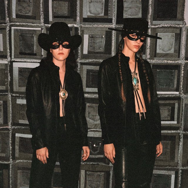 Bad Flamingo Fast song cover