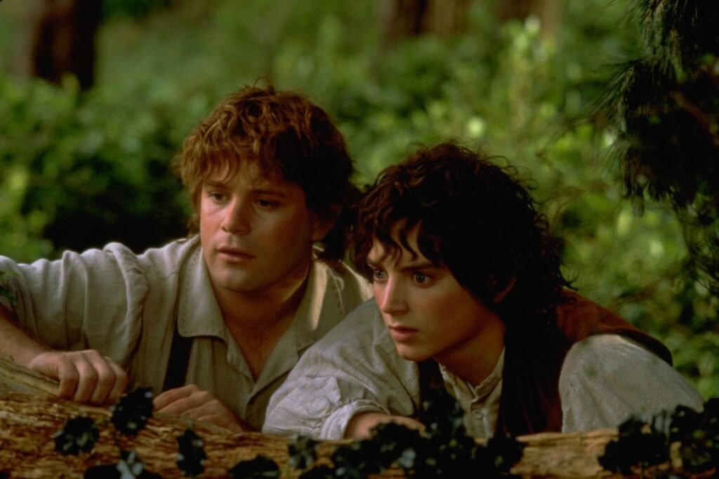 Sean Astin and Elijah Wood in The Lord of the Rings: The Fellowship of the Ring (2001)