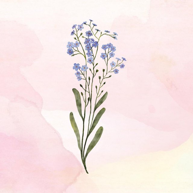 Emily Anderson 30th Birthday song artwork