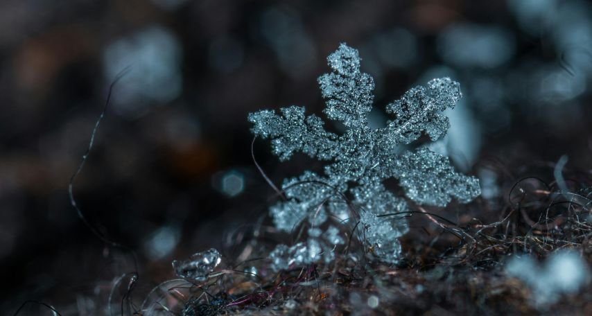Macro Photography of Snowflake