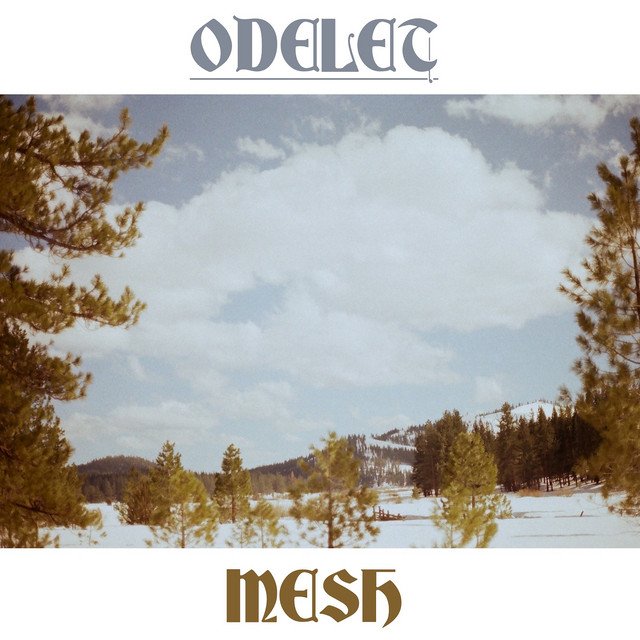 Odelet Mesh song cover
