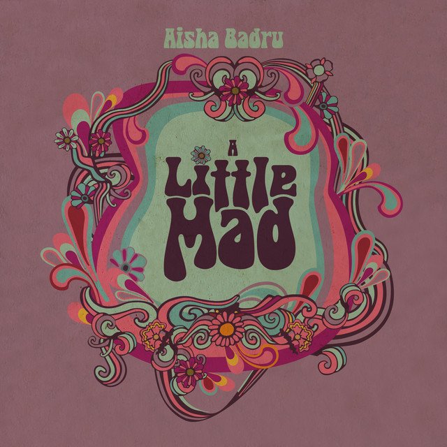 Aisha Badru A Little Mad song cover