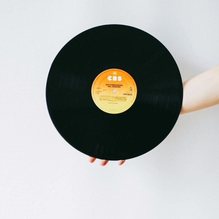 A Person Holding a Vinyl
