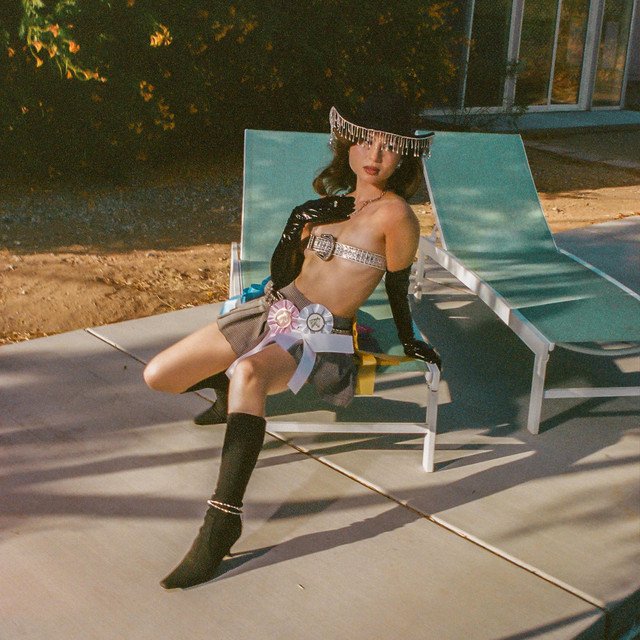 Tiger La Flor SAVE A HORSE, BREAK A HEART Artwork