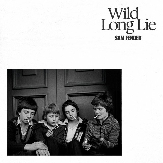 Sam Fender Wild Long Lie Song Artwork