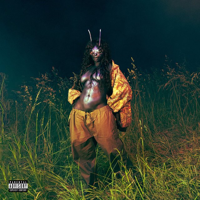 SZA Deluxe Lana Album Artwork