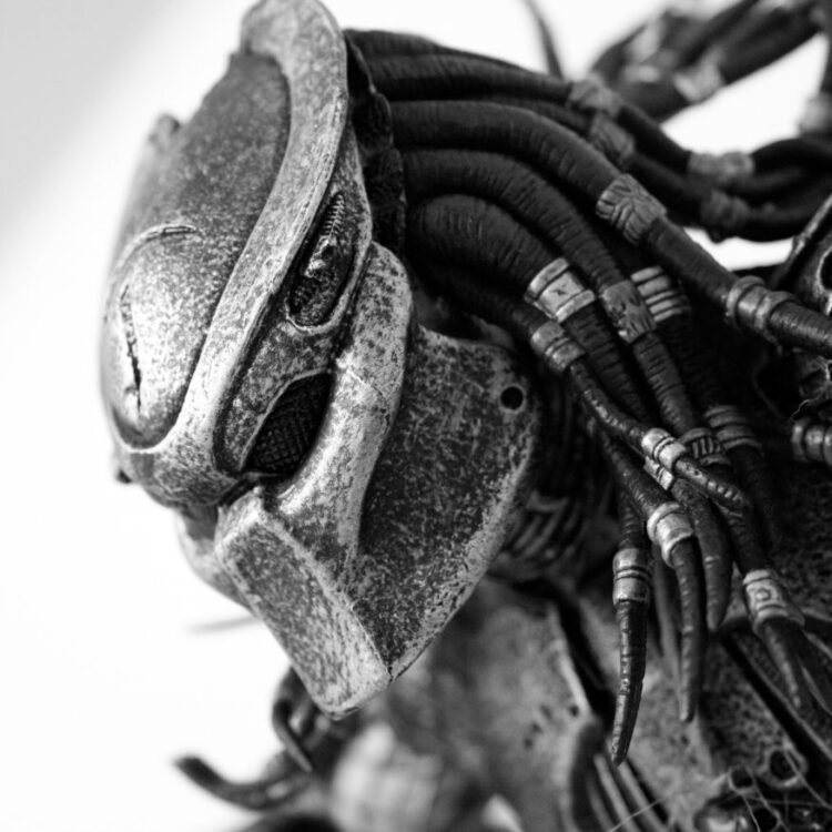 Predator author Anderson Mancini 
