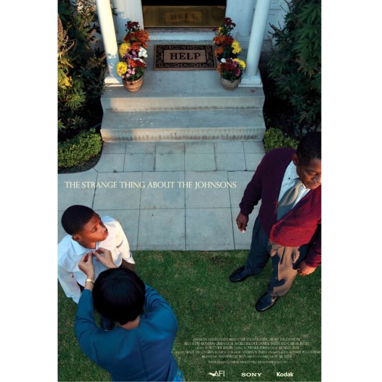 The Strange Thing About the Johnsons (2011)
