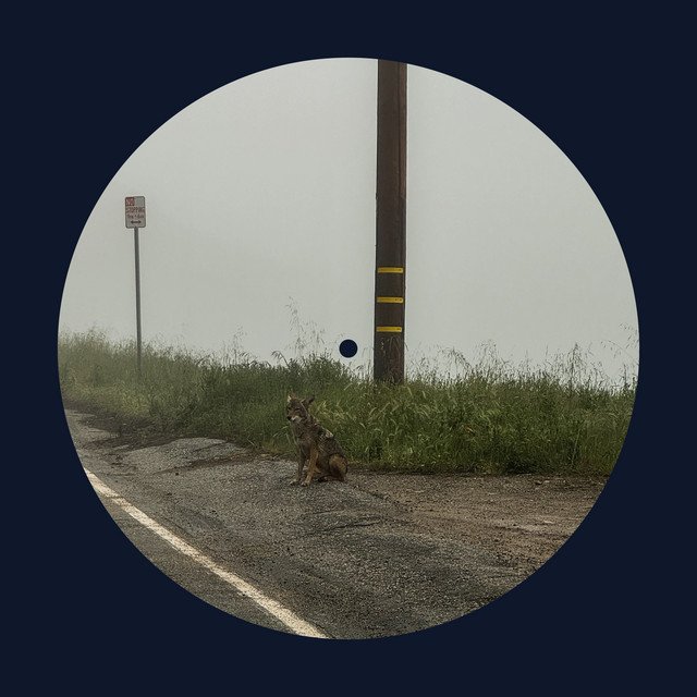 Dominic Fike 14 minutes EP Artwork