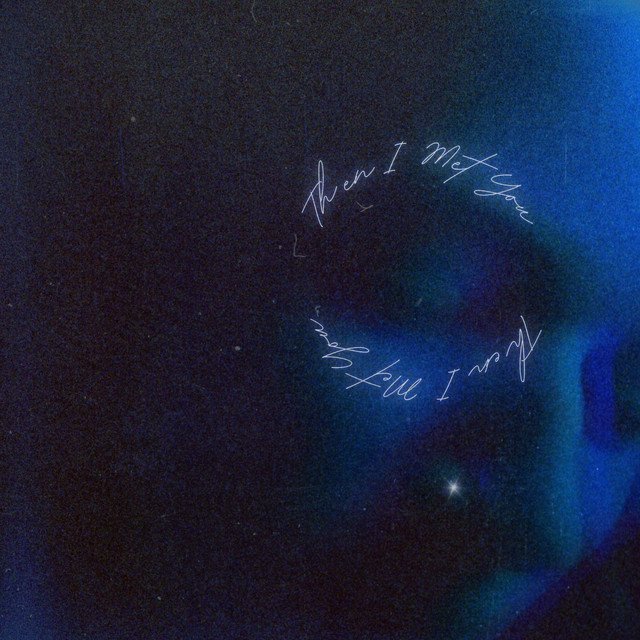 Socky's Then I Met You song artwork