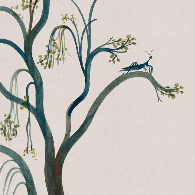 Tommy Ashby’s Sophie song artwork