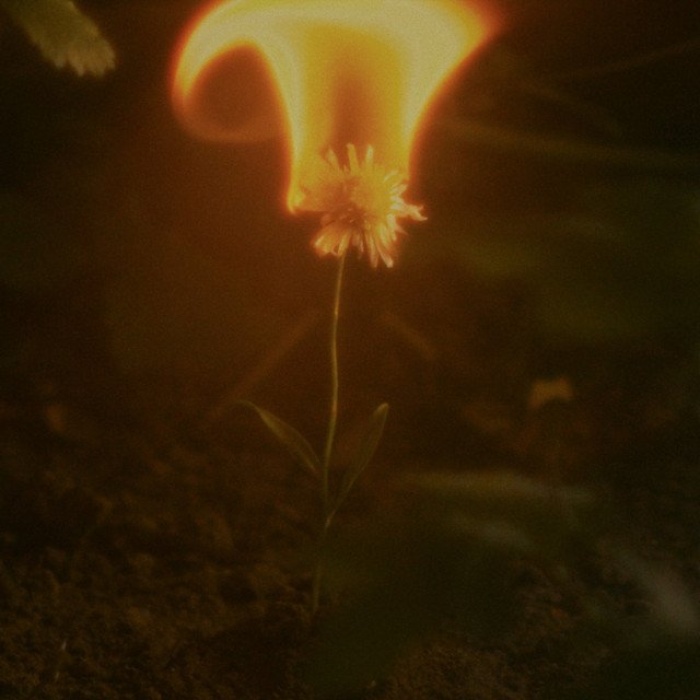 JOA’s Previous Problems EP cover