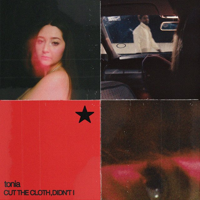 Tonia's Cut the Cloth, Didn’t I song artwork