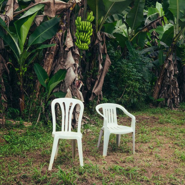 Bad Bunny's DeBÍ TiRAR MáS FOToS album artwork