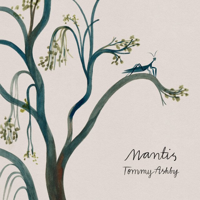 Tommy Ashby's Mantis album artwork