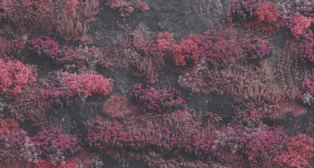 Sleep Token’s Infinite Baths Lyrics Meaning: A Cleansing Spiral Into Chaos, Memory, and Salvation Sleep Token’s Infinite Baths Lyrics Meaning: A Cleansing Spiral Into Chaos, Memory, and Salvation