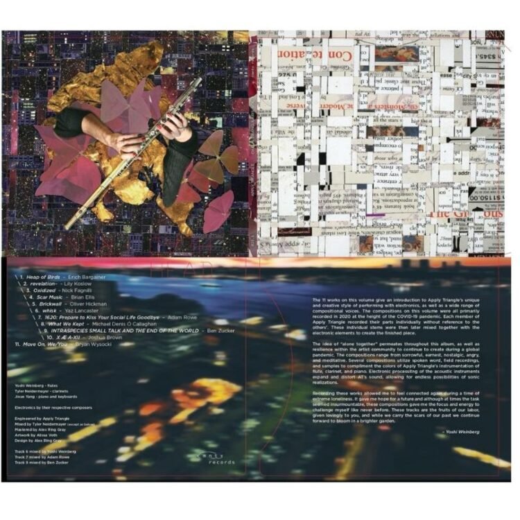 Oxalis Triangularis Album: Electroacoustic of Trio Tyler Neidermayer, Yoshi Weinberg, and Jixue Yang Redefine Live Music