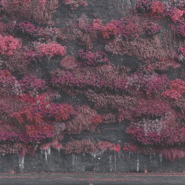 Sleep Token's Even in Arcadia album artwork