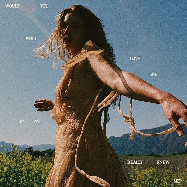 Fletcher's Would You Still Love Me If You Really Knew Me? album cover