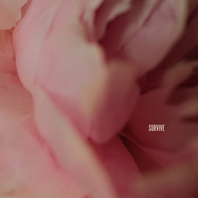 Lewis Capaldi's Survive song artwork