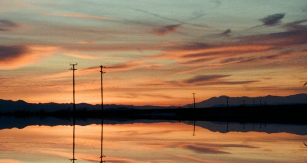 Sasha & The Bear – No Fire No Promises Review