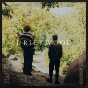 Seafret and James Morrison Unite on "Driftwood